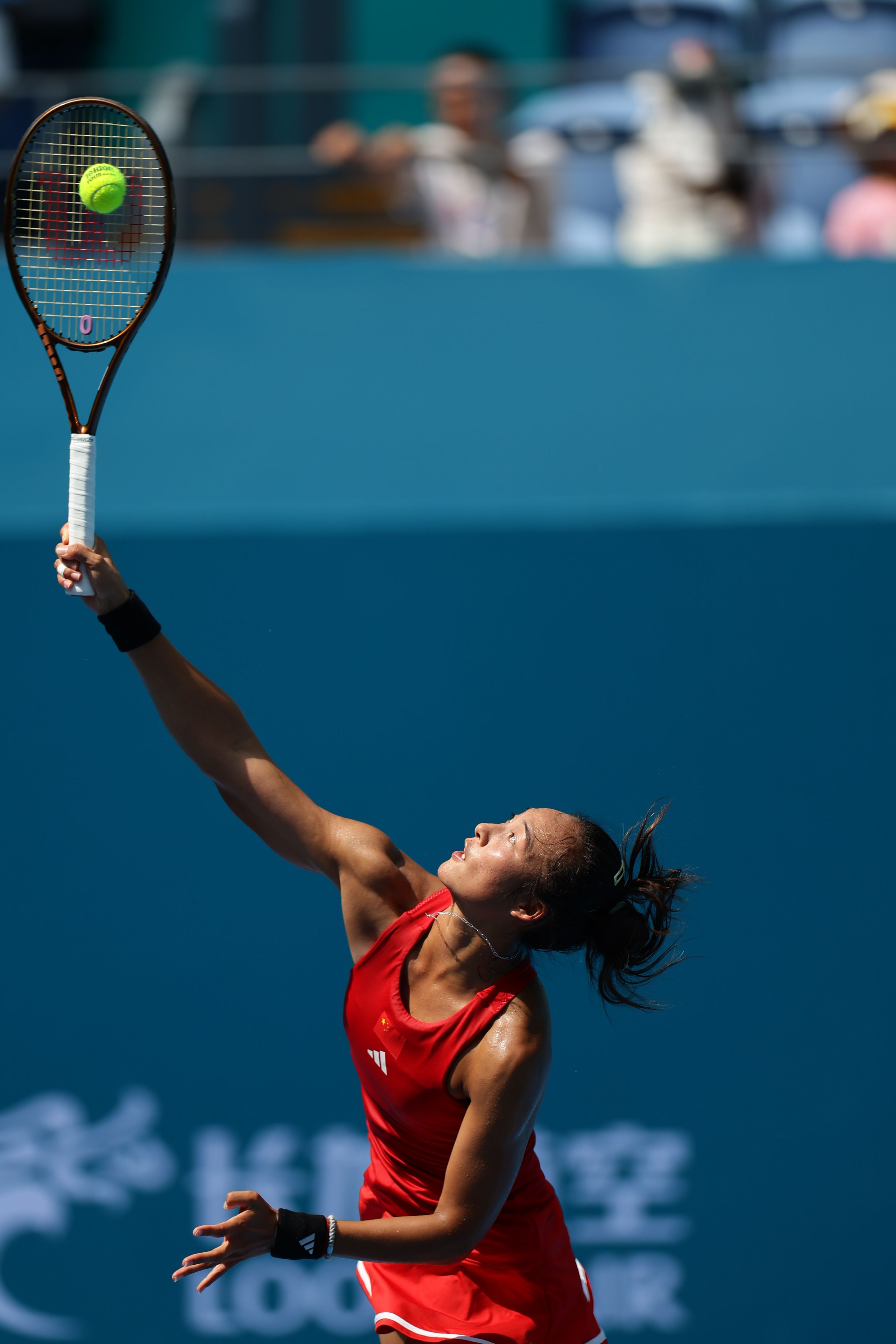 完成续约 完成续约